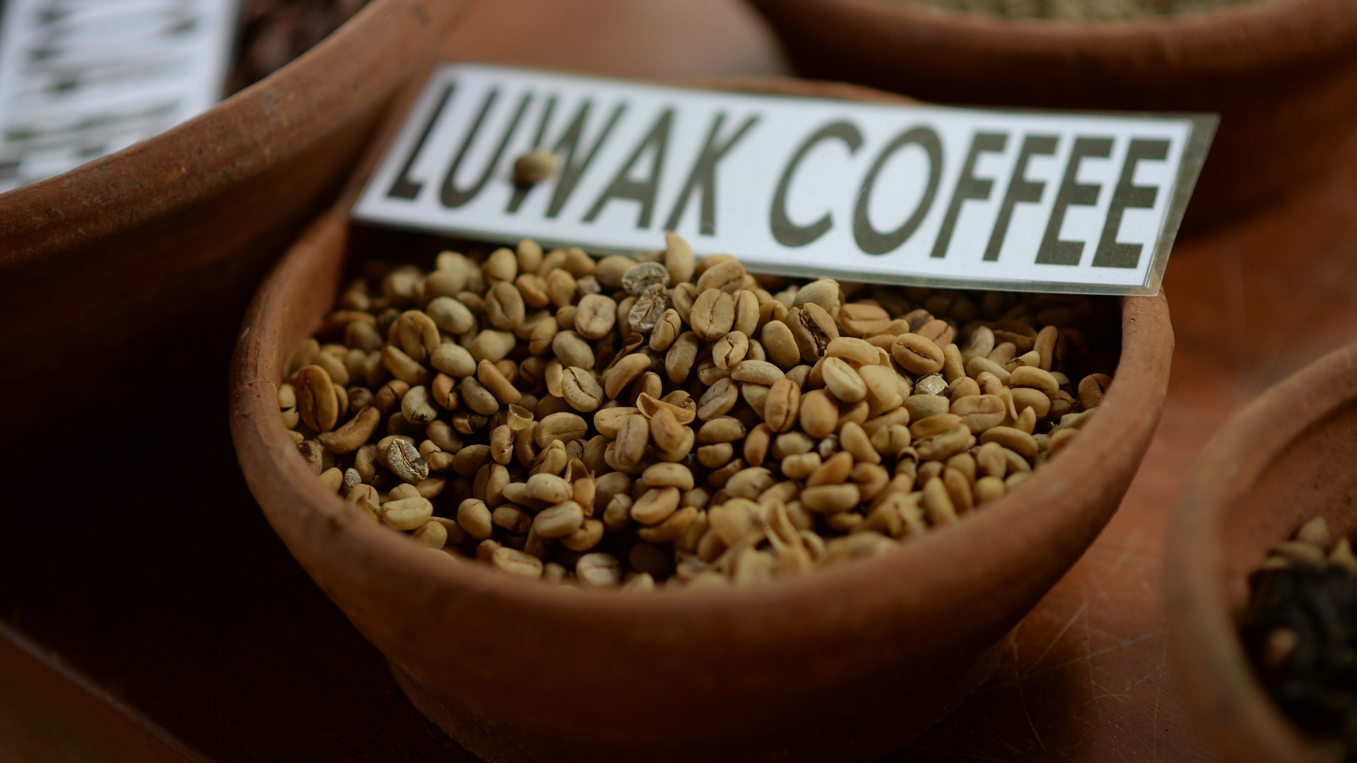 Raw coffee beans luwak in a plate close up